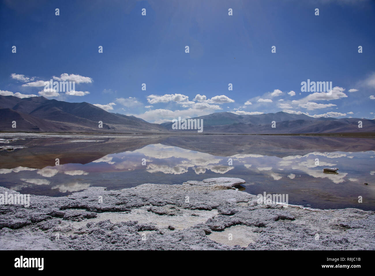 Trekking entlang Tso Kar See, Ladakh, Indiavi Stockfoto