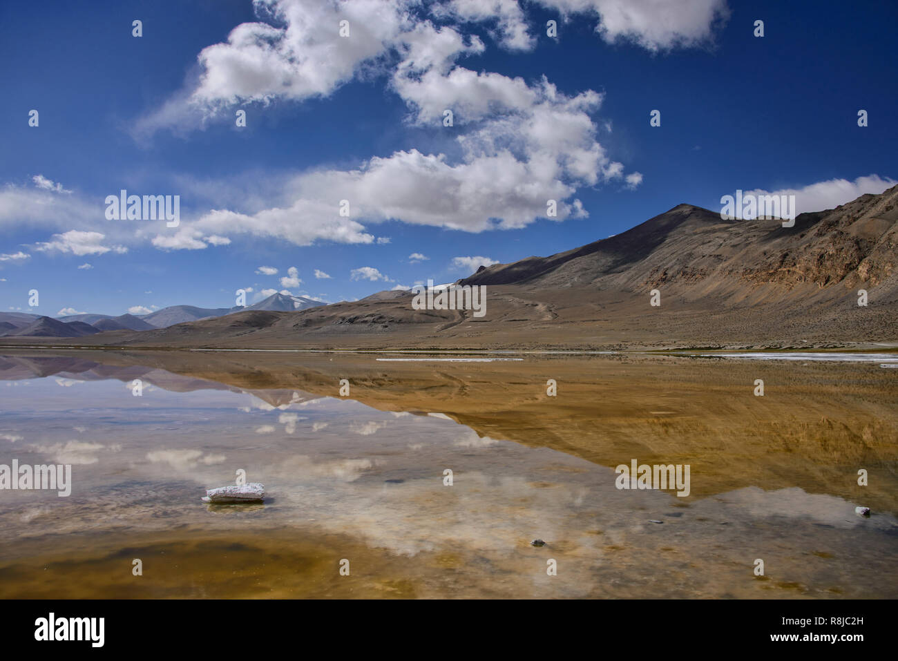 Trekking entlang Tso Kar See, Ladakh, Indiavi Stockfoto