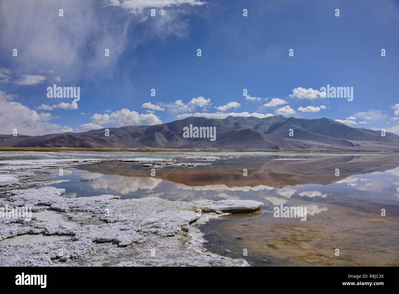 Trekking entlang Tso Kar See, Ladakh, Indiavi Stockfoto