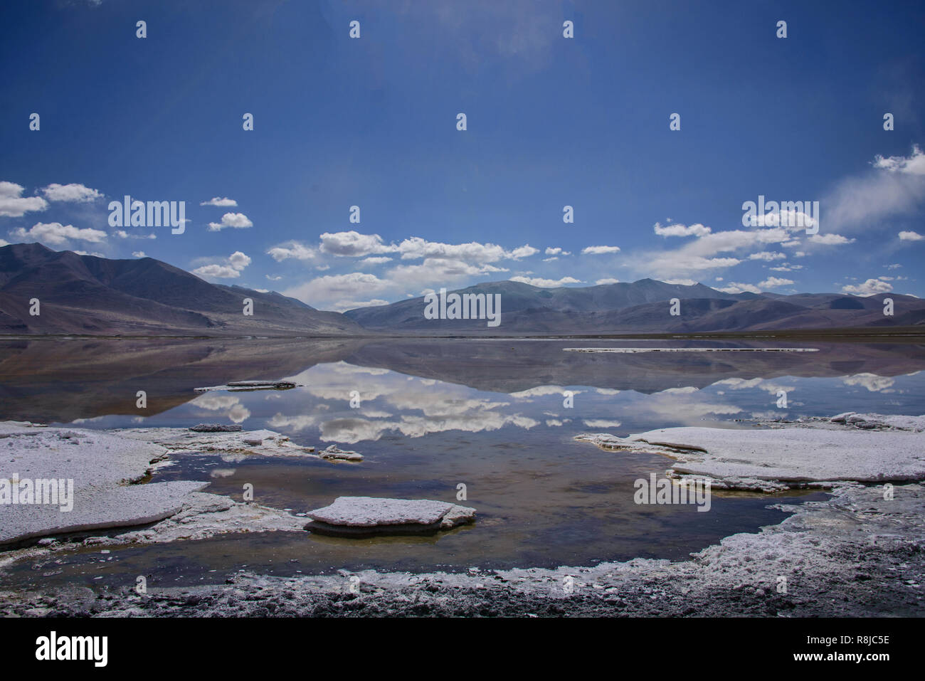 Trekking entlang Tso Kar See, Ladakh, Indiavi Stockfoto