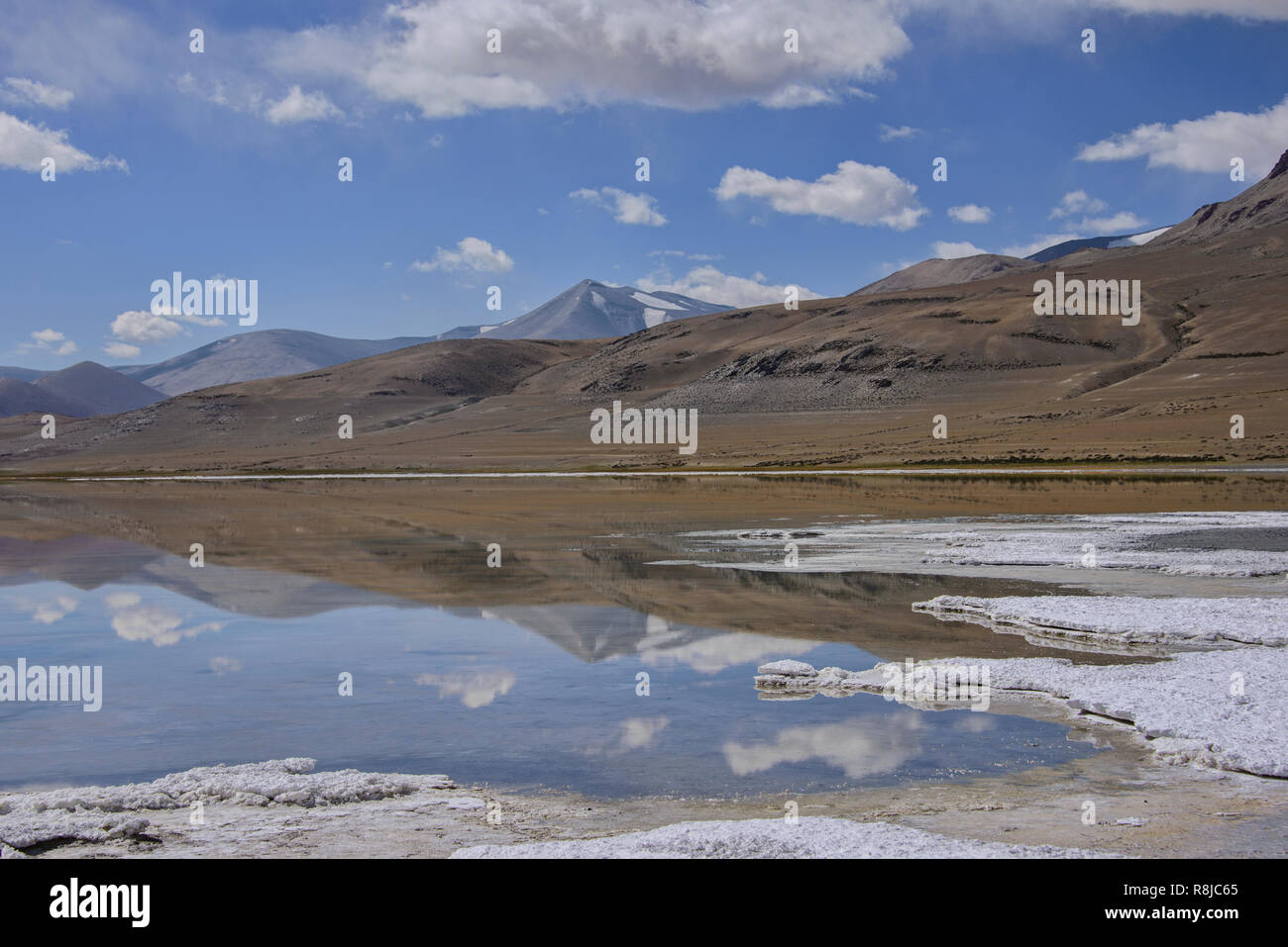 Trekking entlang Tso Kar See, Ladakh, Indiavi Stockfoto