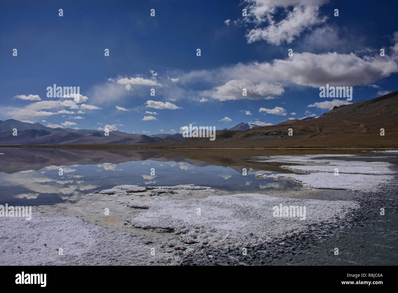 Trekking entlang Tso Kar See, Ladakh, Indiavi Stockfoto