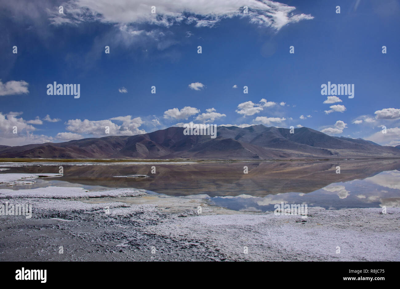 Trekking entlang Tso Kar See, Ladakh, Indiavi Stockfoto