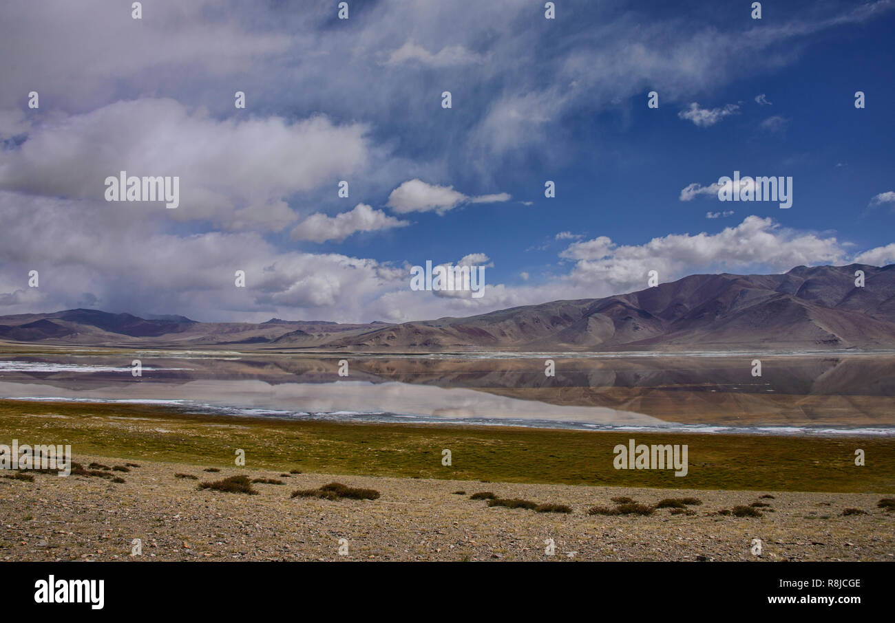 Einsamkeit; Tso Kar See, Ladakh, Indien Stockfoto