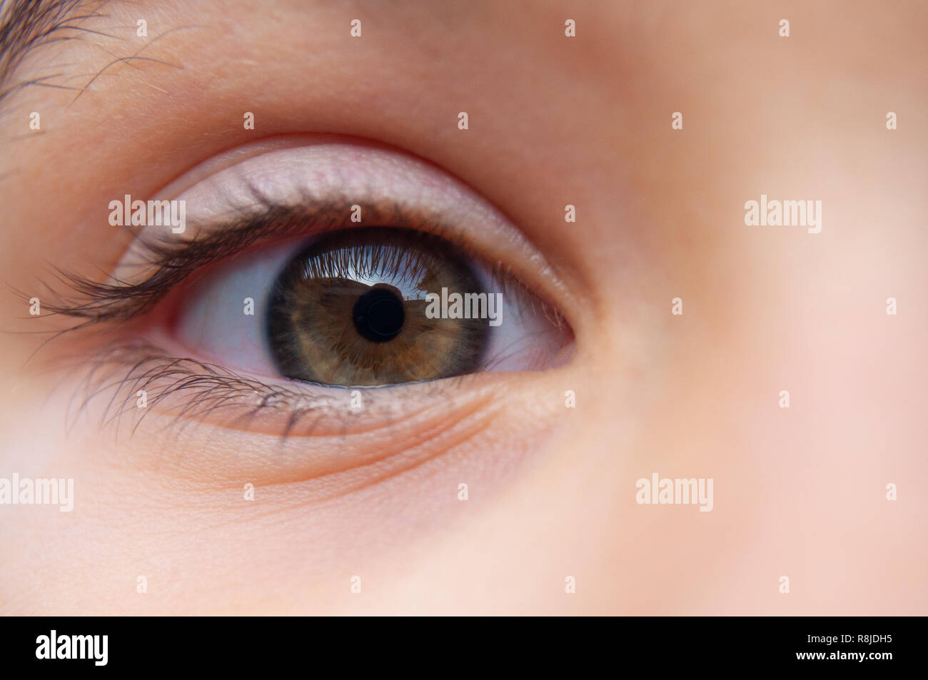 Auge auf Sie. In meine Augen schauen Stockfoto