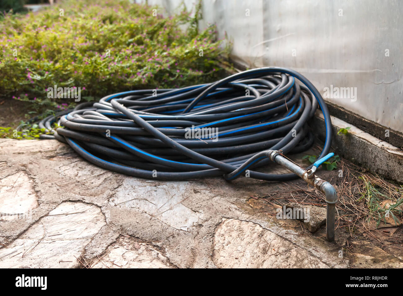 Kunststoff schwarz Schlauch für kaltes Wasser für die Bewässerung von  Pflanzen und Sträucher im Garten verwendet. Verdrillt und Ringe gelegt, um  eine Wasserleitung in der Ba angeschlossen Stockfotografie - Alamy