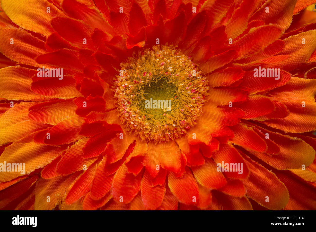 Synthetische hergestellte Material in ein tiefes Rot Orange Blume gemacht Stockfoto