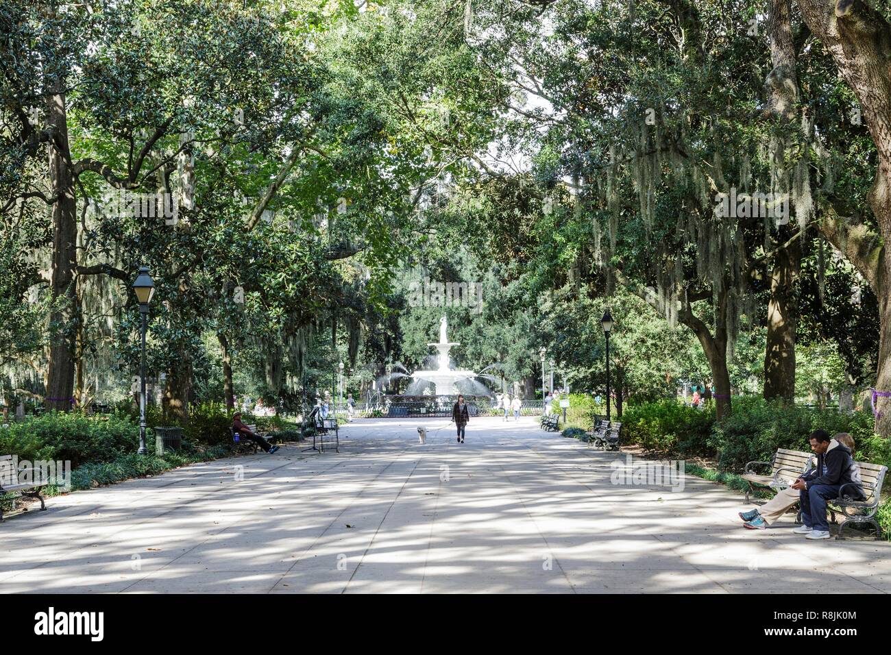 Dog Walker in Forsyth Park Stockfoto