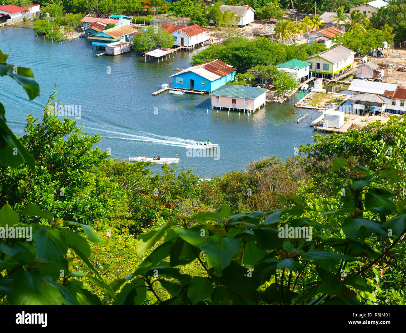 Zwei Schnellboote in Oak Ridge, Roatan Stockfoto