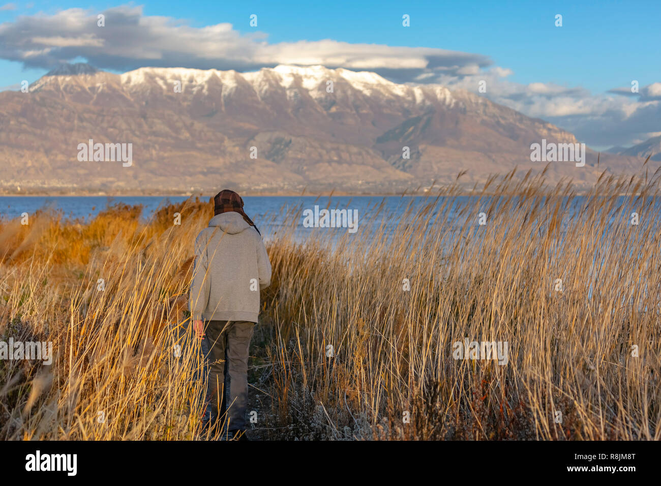Mann Spaziergänge durch Sumpf in der Nähe von Utah Lake Stockfoto