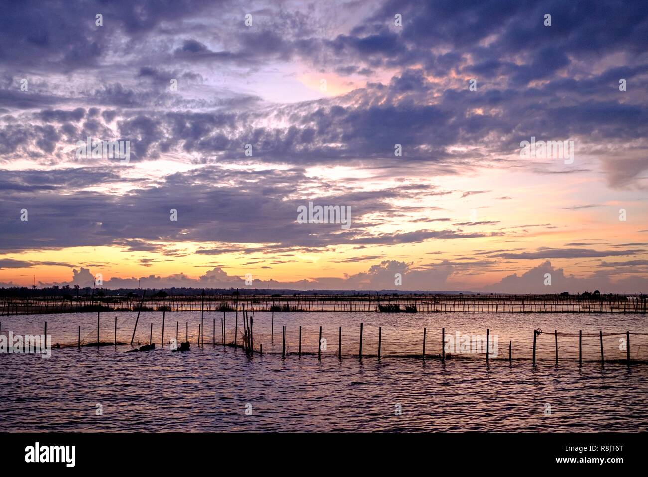 Vietnam, Thua Thien Hue Provinz, Tam Giang, Fischer in der Lagune Stockfoto