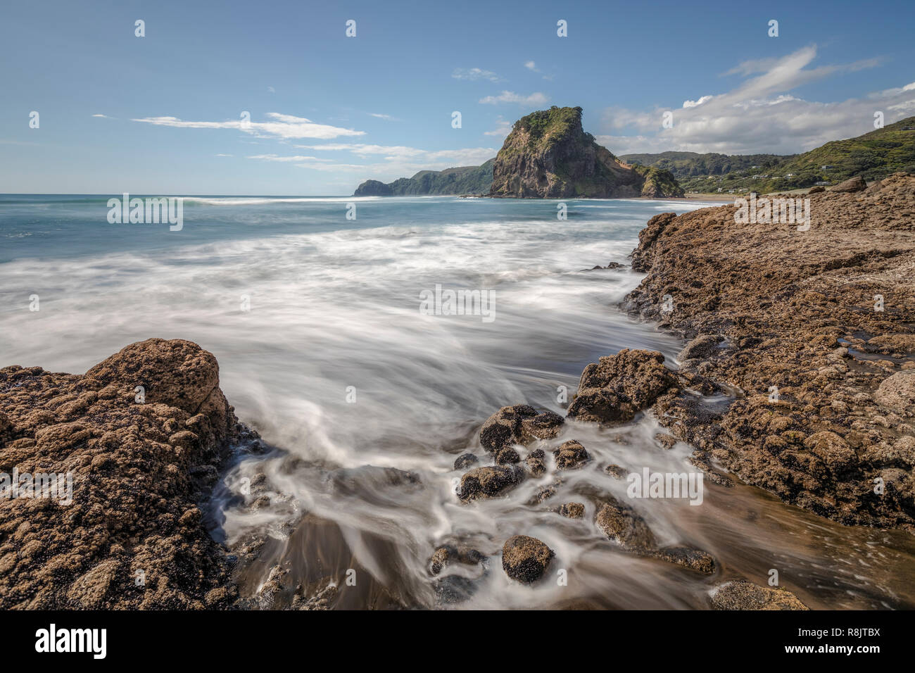 Piha Beach, Auckland, Lion Rock, North Island, Neuseeland Stockfoto