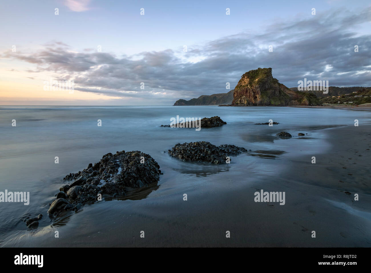 Piha Beach, Auckland, Lion Rock, North Island, Neuseeland Stockfoto