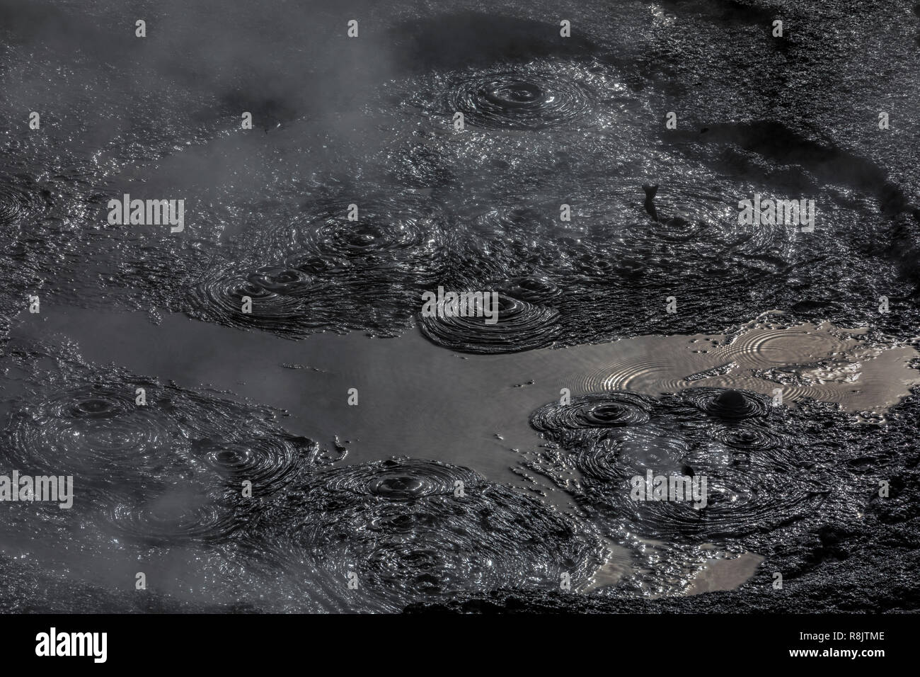 , Whakarewarewa Rotorua, Bay of Plenty, North Island, Neuseeland Stockfoto