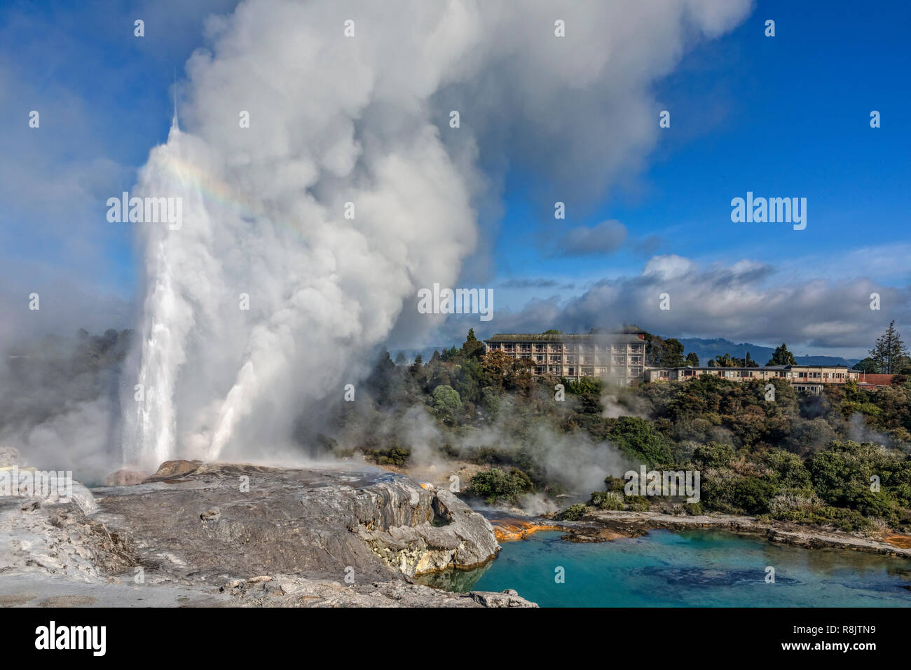 , Whakarewarewa Rotorua, Bay of Plenty, North Island, Neuseeland Stockfoto