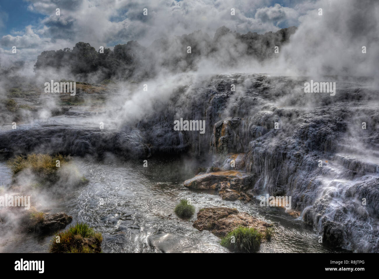, Whakarewarewa Rotorua, Bay of Plenty, North Island, Neuseeland Stockfoto