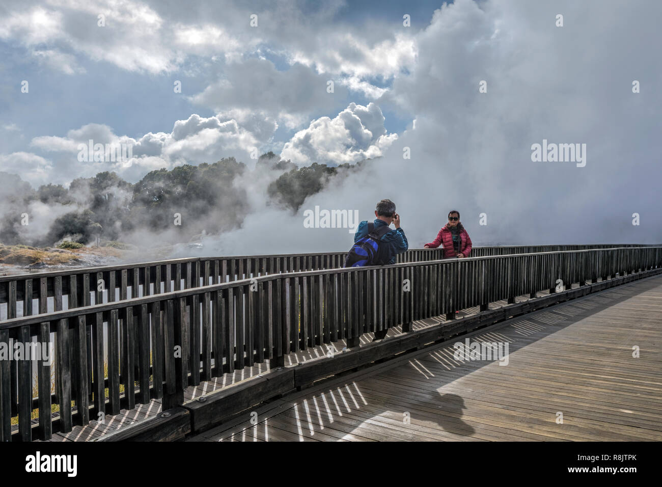 , Whakarewarewa Rotorua, Bay of Plenty, North Island, Neuseeland Stockfoto