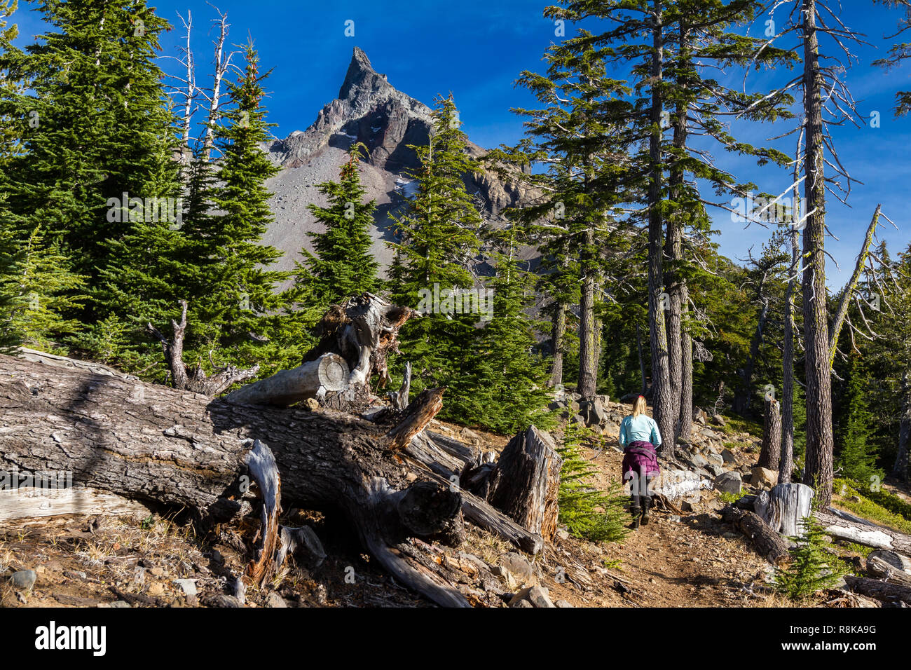 Frau wandern bis zu Mount Thielsen in Oregon mit einem tiefblauen Himmel und einem Berg im Hintergrund Stockfoto