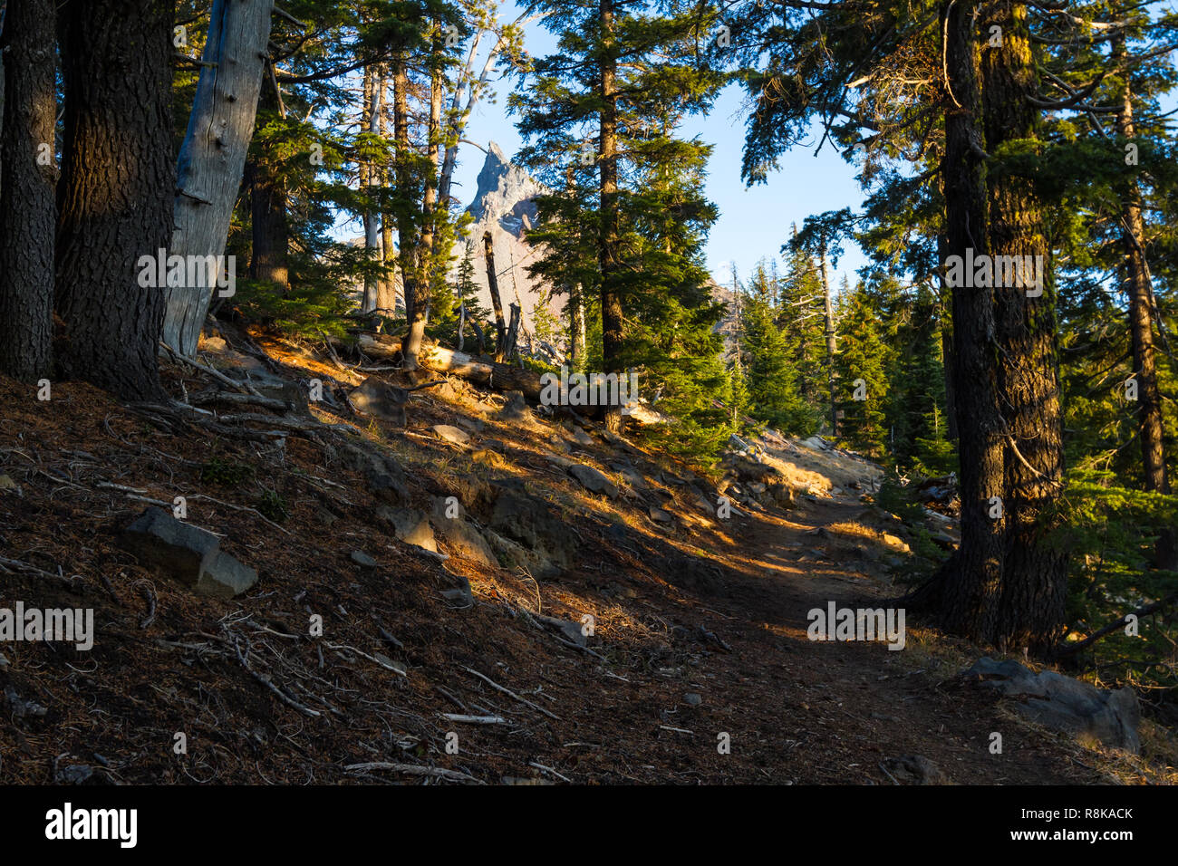 Markierten Weg in den Wald von Oregon klettern auf den Gipfel des Mount Thielsen Stockfoto