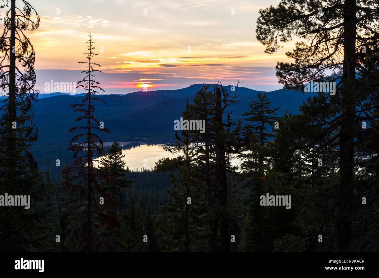 Aussicht auf Diamond Lake vom Mount Thielsen Trail mit dichtem Wald Vegetation im Vordergrund. Stockfoto