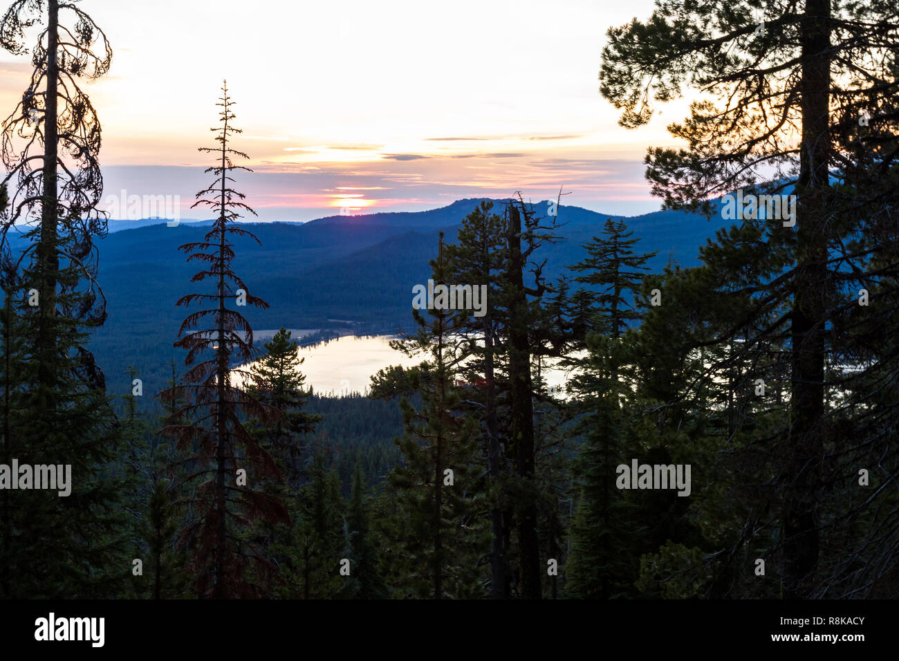 Aussicht auf Diamond Lake vom Mount Thielsen Trail mit dichtem Wald Vegetation im Vordergrund. Stockfoto