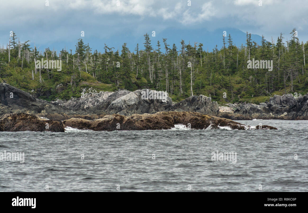 Wellen Waschen auf Off liegenden Riffe der exponierten äußeren Inseln Hakai Lúxvbálís Conservancy, die größte marine Park an der Küste von British Columbia. Stockfoto