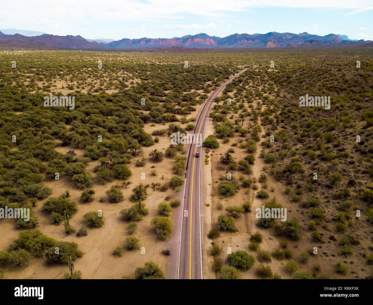 Wüste Straße mit Büschen und Kakteen Luftbild Stockfoto