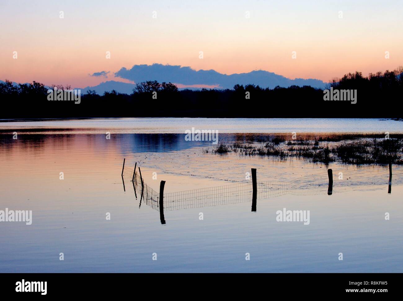 Dombes teiche Fotos und Bildmaterial in hoher Auflösung Alamy