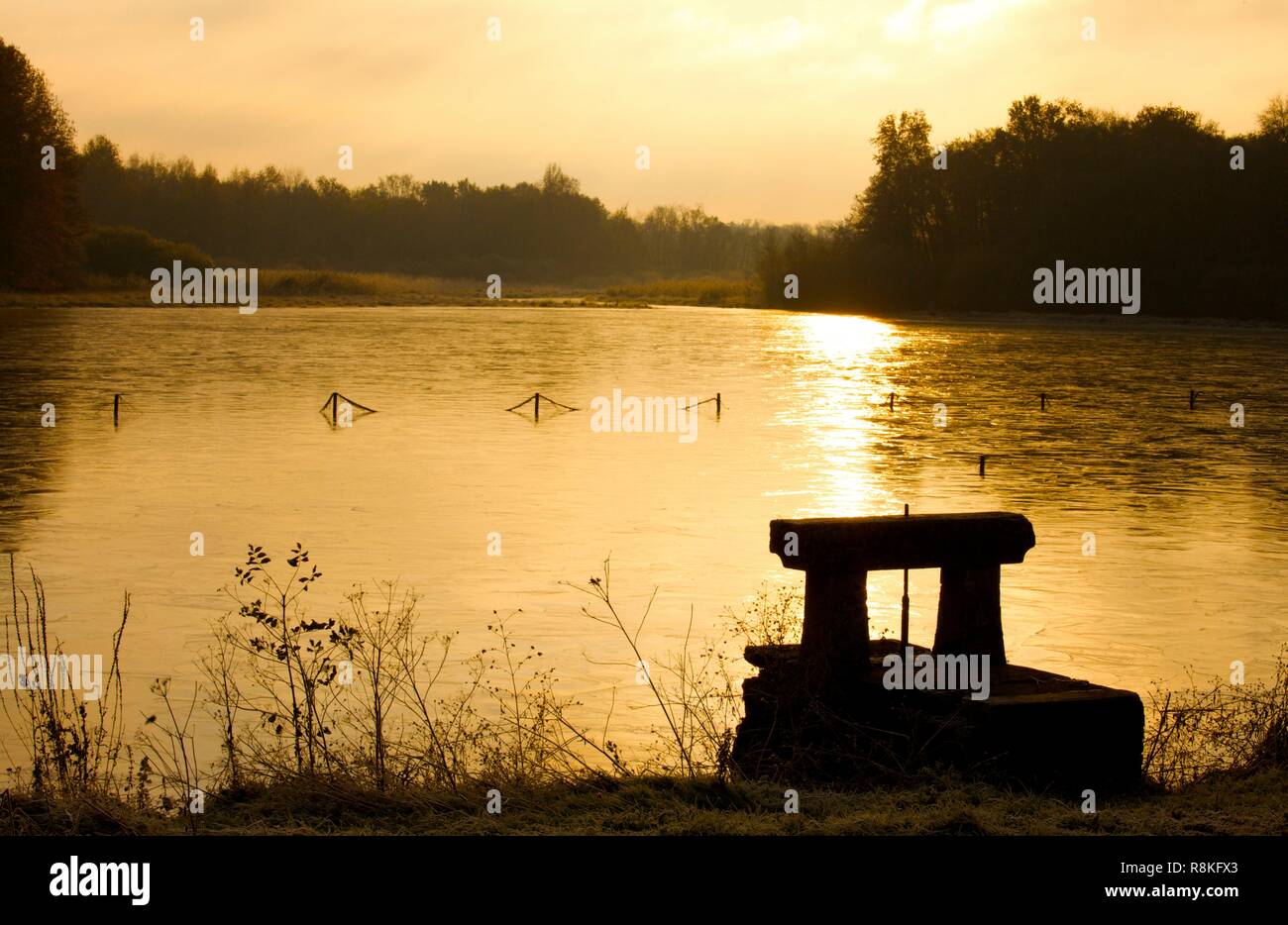 Frankreich, Ain, die Teiche der Dombes Stockfoto