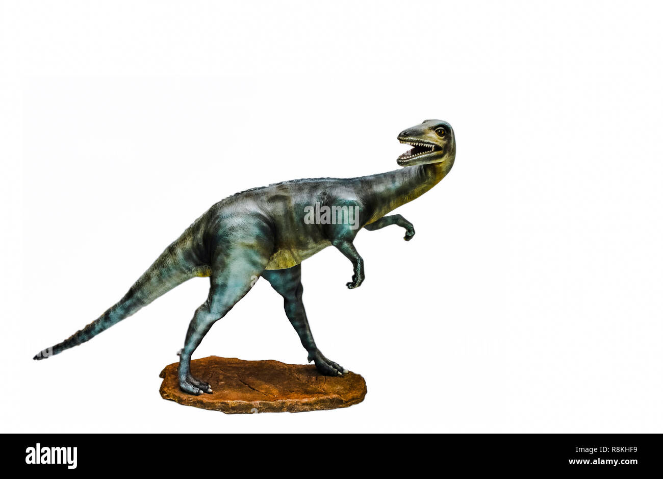 Dinosaurier isoliert/dinosauria gallimimus Statue auf weißem Hintergrund Stockfoto