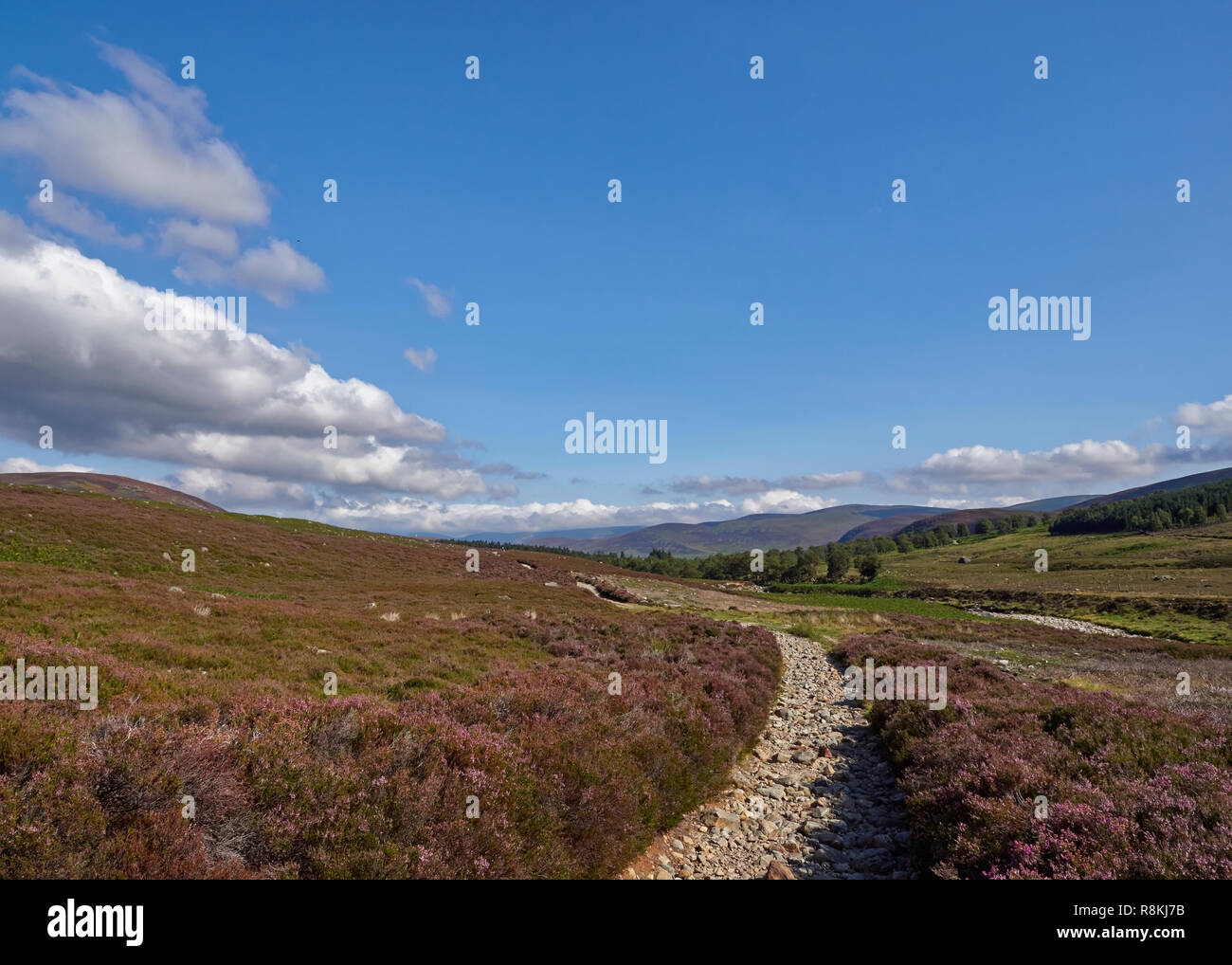 Nach unten schauen. Der Mt scharf Fußweg in Richtung Invermark im Angus Glens, auf einer warmen Sommern Juli Nachmittag. Angus, Schottland. Stockfoto