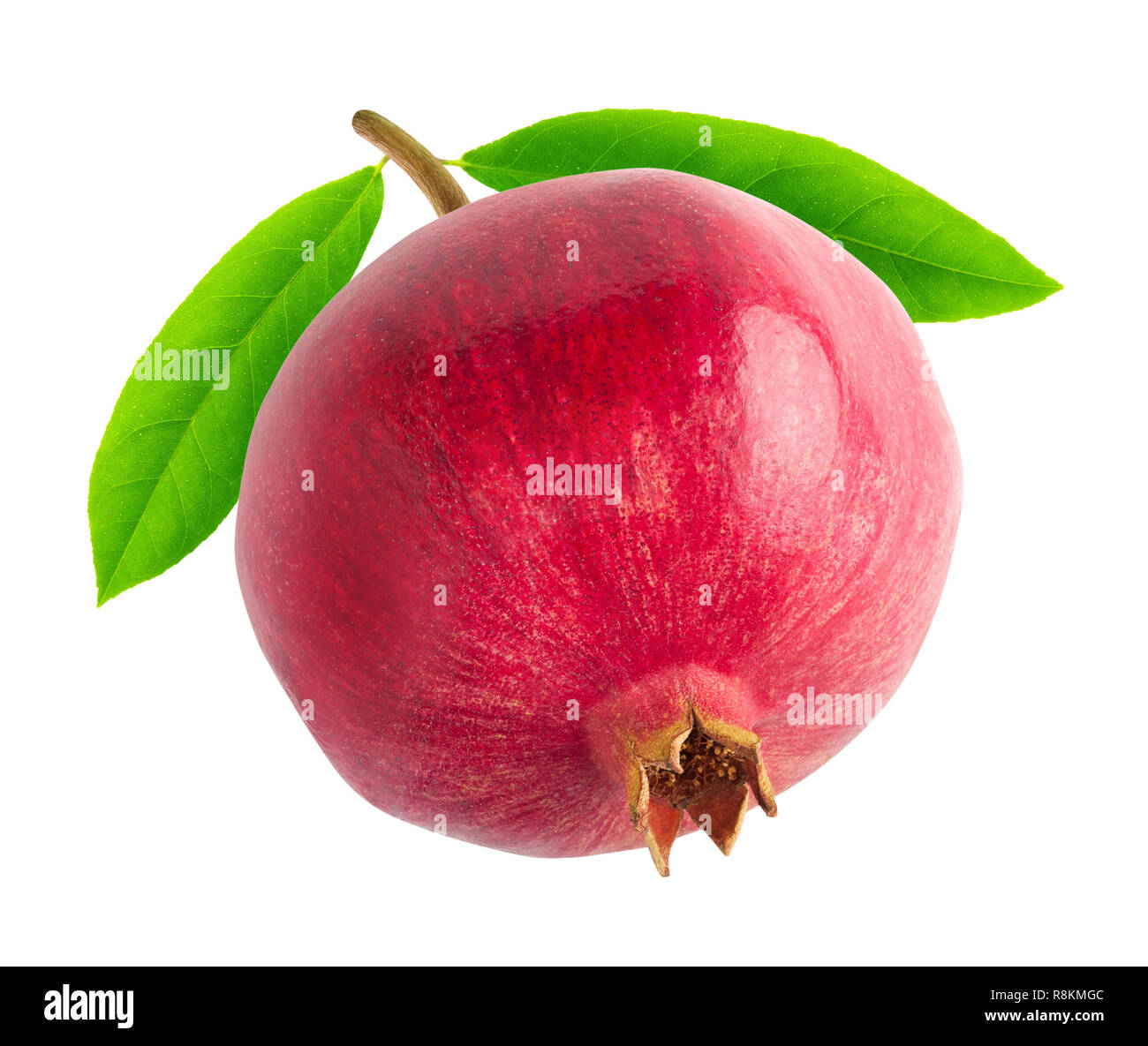 Isolierte Granatapfel. Ein Granatapfel Obst auf einem Ast mit Blätter auf weißem Hintergrund mit Freistellungspfad isoliert Stockfoto