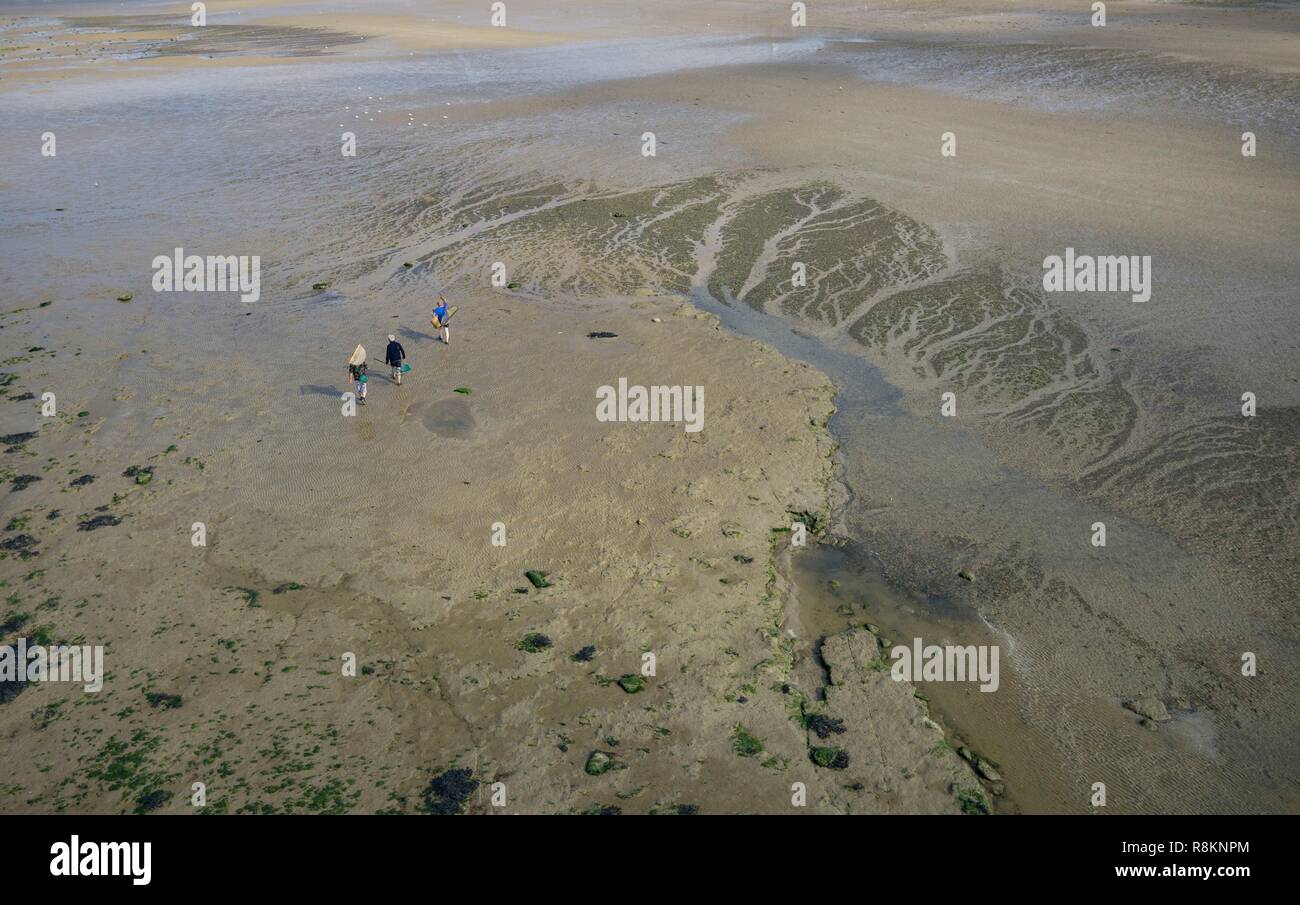 Frankreich, Calvados, Arromanches-les-Bains, Angeln bei Ebbe (Luftbild) Stockfoto