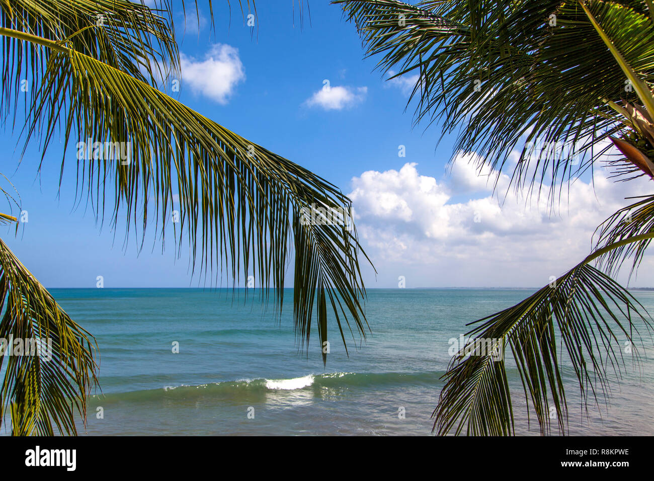 Indonesien Bali, Kuta Strand Palmen auf das Meer. Stockfoto
