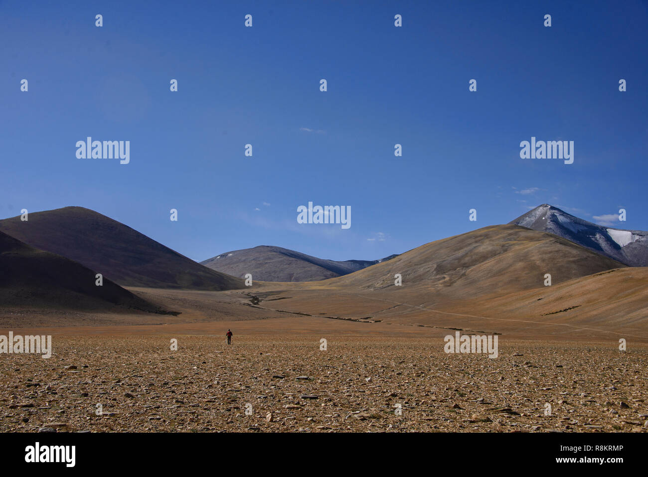 Trekking Tso Moriri, Ladakh, Indien Stockfoto