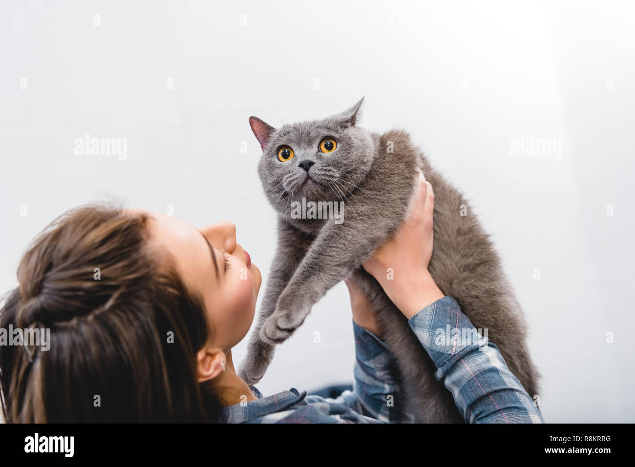 Schöne Junge Frau Mit Liebenswerten Britisch Kurzhaar Katze
