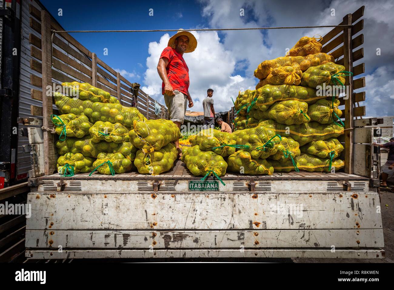 Brasilien, Salvador de Bahia, Sao Joaquim Messe, im Liefergebiet Der beliebte Markt eine Lieferung des Menschen in der Arbeitswelt, in seinem Lkw beladen mit Orangen Stockfoto