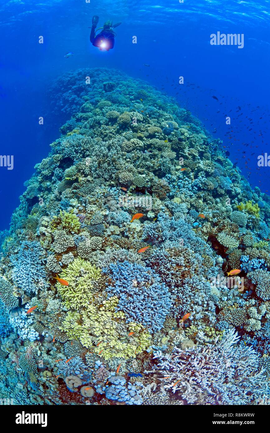 Ägypten, Rotes Meer, Dahab, Blue Hole tauchen Website Stockfoto