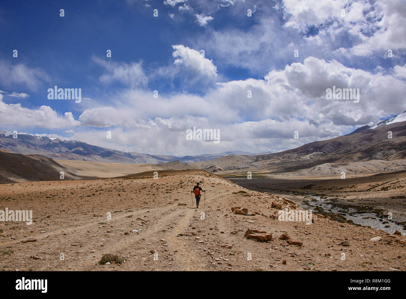 Trekking der kargen Hochebene und Pässe der Changthang enroute in Tso Moriri, Ladakh, Indien Stockfoto