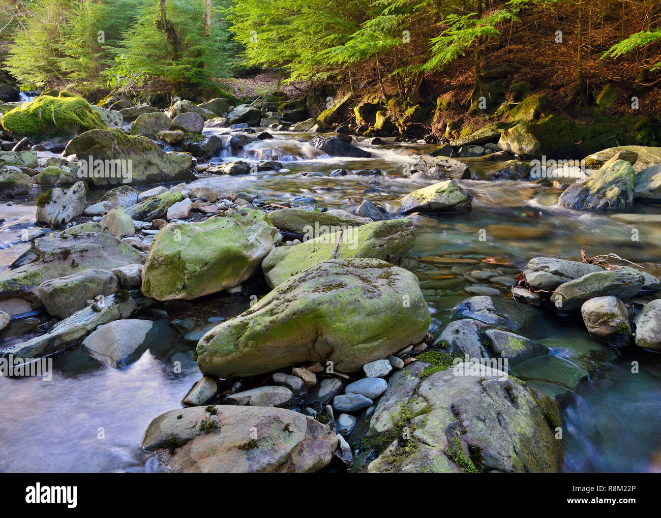 Ein Abschnitt des Flusses Llugwy, Betws y Coed, im Snowdonia National Park, Wales, Großbritannien Stockfoto