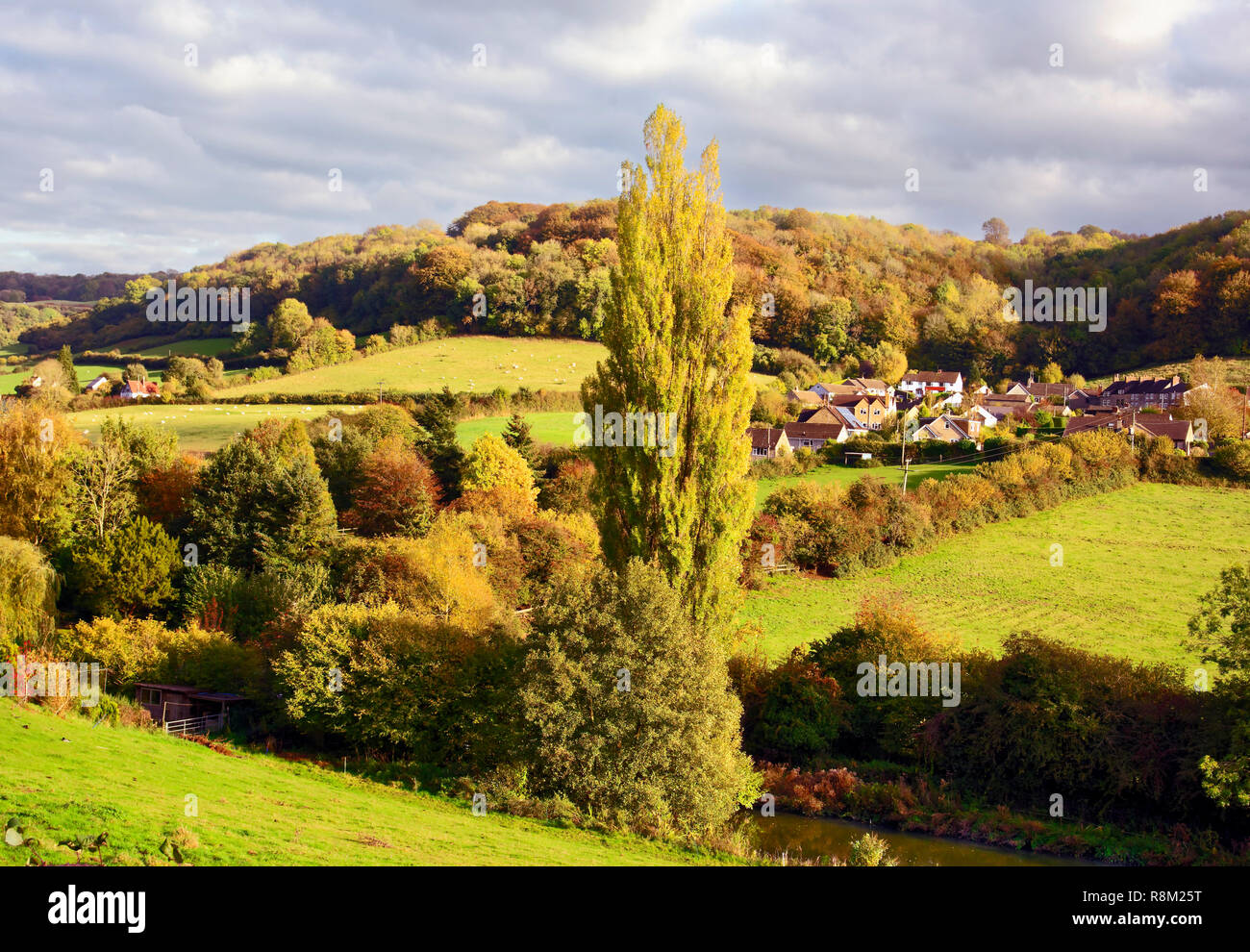 Ein sonniger Blick auf die unverwechselbare Landschaft von Cotswold im Herbst Saison. Stockfoto