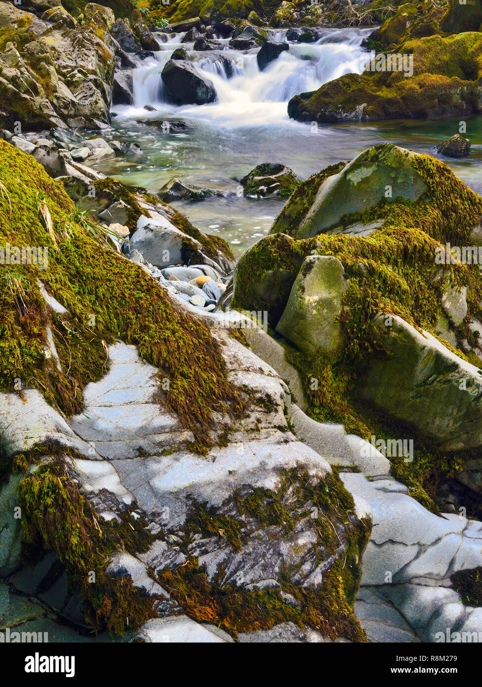 Ein Abschnitt des Flusses Llugwy, Betws y Coed, im Snowdonia National Park, Wales, Großbritannien Stockfoto
