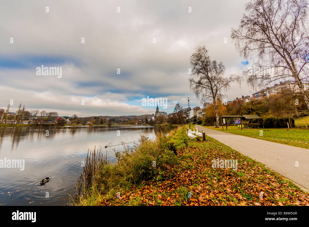 Doyards See mit Enten und Gänse auf der Wiese neben einem Wanderweg in Vielsalm auf eine wunderbare und trübe Herbst Tag in den Belgischen Ardennen Stockfoto