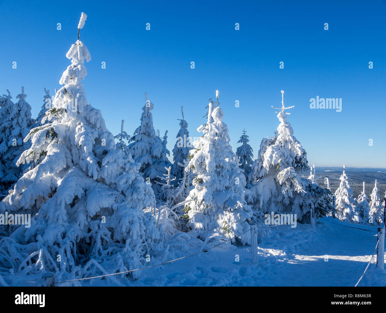 Ist schön, Winter Tale Stockfoto