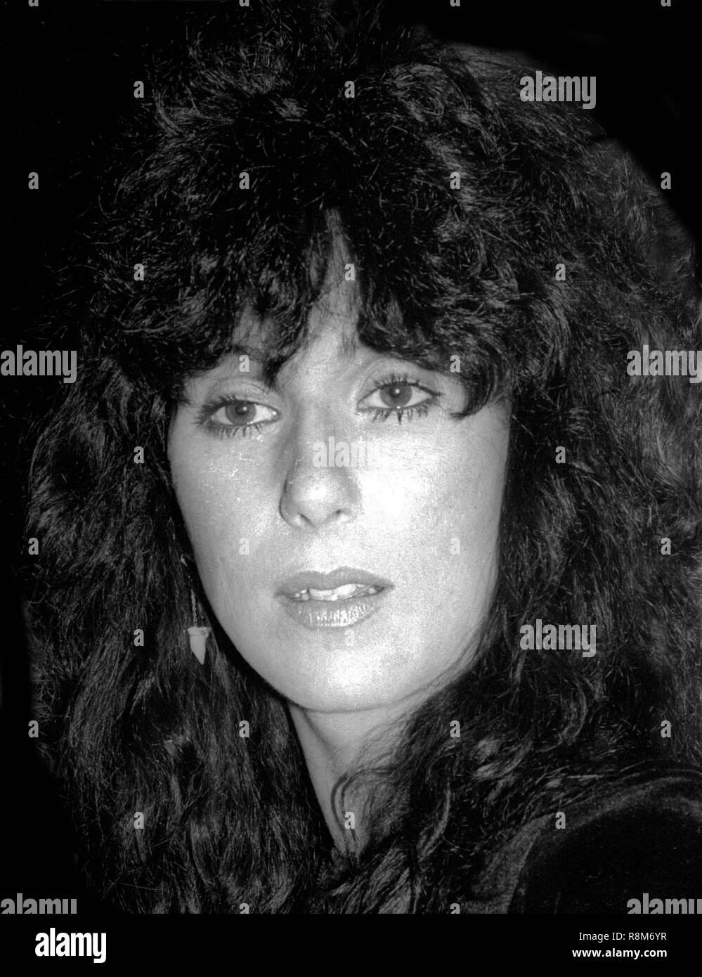 Cher 1982 Foto von Adam Schädel/PHOTOlink.net Stockfoto