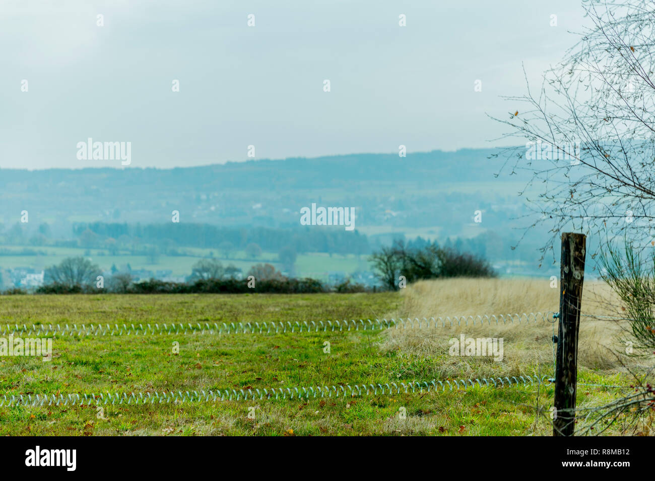 Schönes Bild von einer Wiese mit einer hölzernen Stange und Kabel an einem bewölkten Tag und mit Winter Dunst in den Belgischen Ardennen Stockfoto