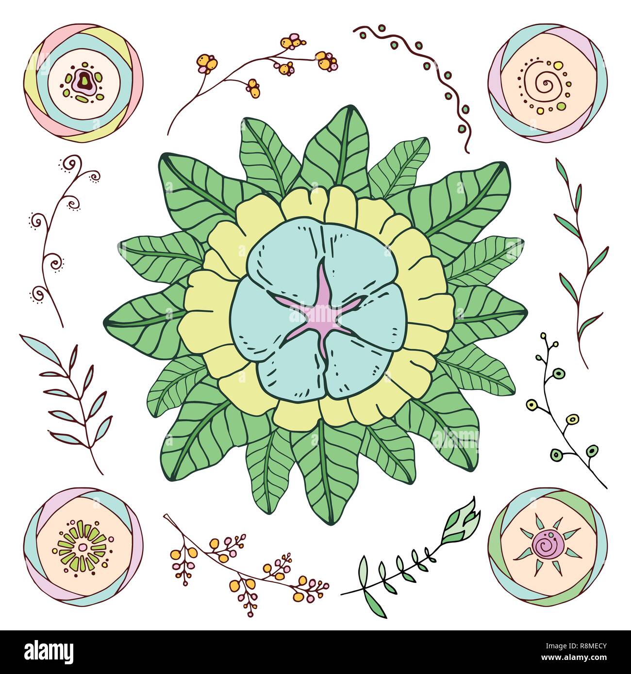 Satz von Hand gezeichnet Vektor Blumen und Zweige mit Blättern, Blüten und Beeren. Doodle Stil. Auf weissem Hintergrund. Dekorative Elemente für Ihre Stock Vektor