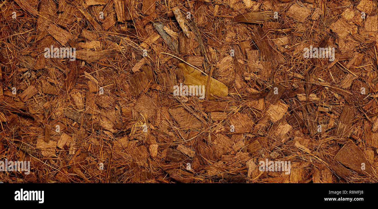 Verdichtete Ballen der Boden Kokosnussschalen Fasern (Kokos), Oberfläche Hintergrund. Stockfoto