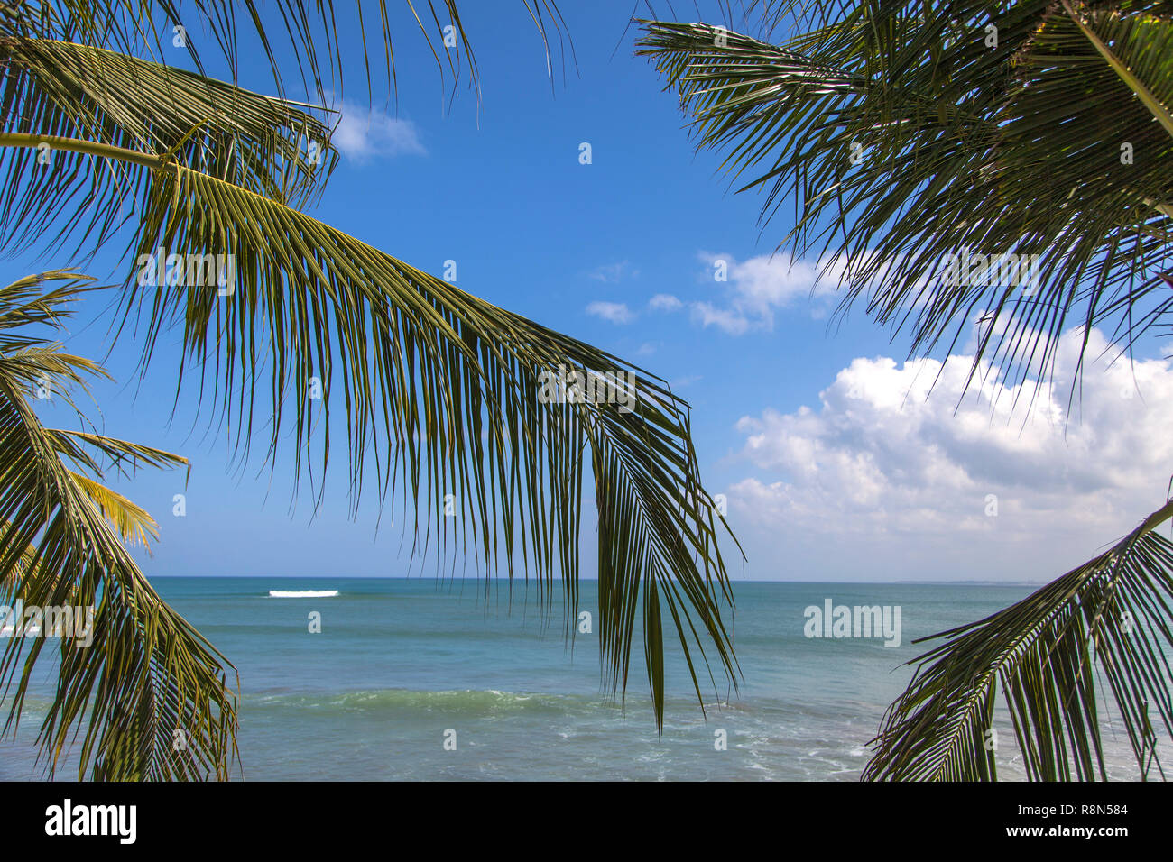 Indonesien Bali, Kuta Strand Palmen auf das Meer. Stockfoto