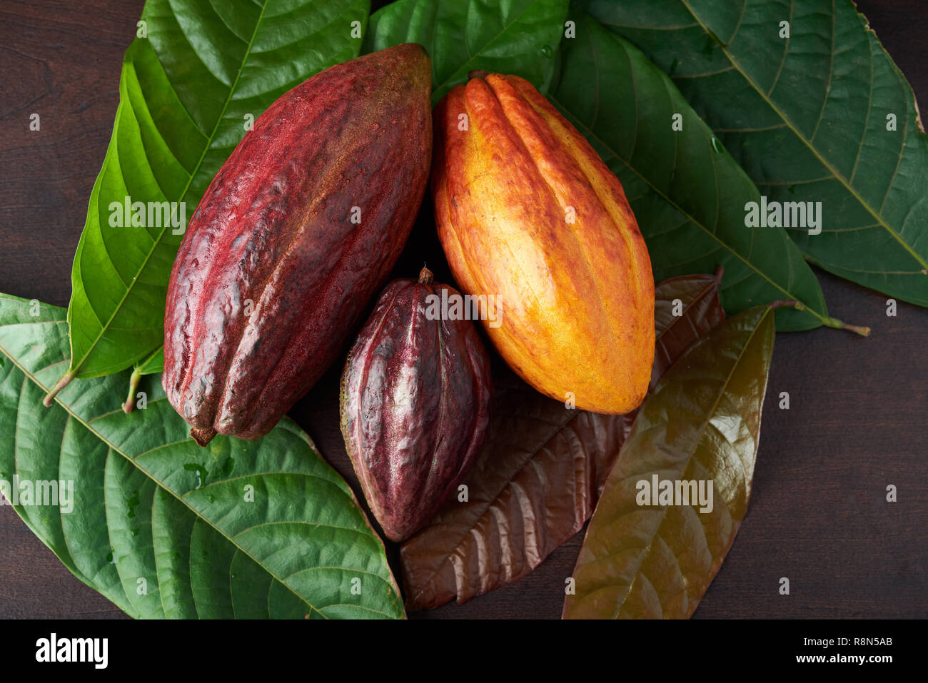 Bunte rohe Schokolade Thema. Rote Farbe Pods auf hölzernen Schreibtisch Stockfoto